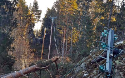 Återuppbyggnaden av elnätet i Roslagen efter stormen Alfrida